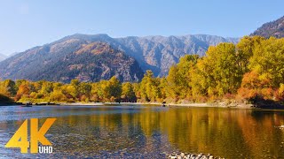 Beautiful Fall Foliage in Leavenworth Waterfront Park - 4K Autumn Colors & Soothing Nature Sounds