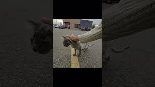 Today Passed Calmly Alright Wishing You All A Gentle Night And A Beautiful Tomorrow