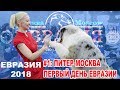 ЕВРАЗИЯ-2018: Питер-Москва + ДЕНЬ 1