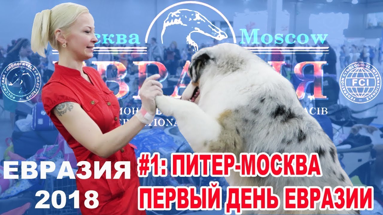 ЕВРАЗИЯ-2018: Питер-Москва + ДЕНЬ 1 - YouTube