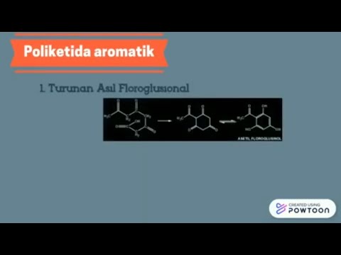 Video: Efisiensi Sebagai Penentu Kesetiaan Di Antara Pengguna Komunitas Praktek Klinis: Studi Perbandingan Antara Fase Implementasi Dan Konsolidasi