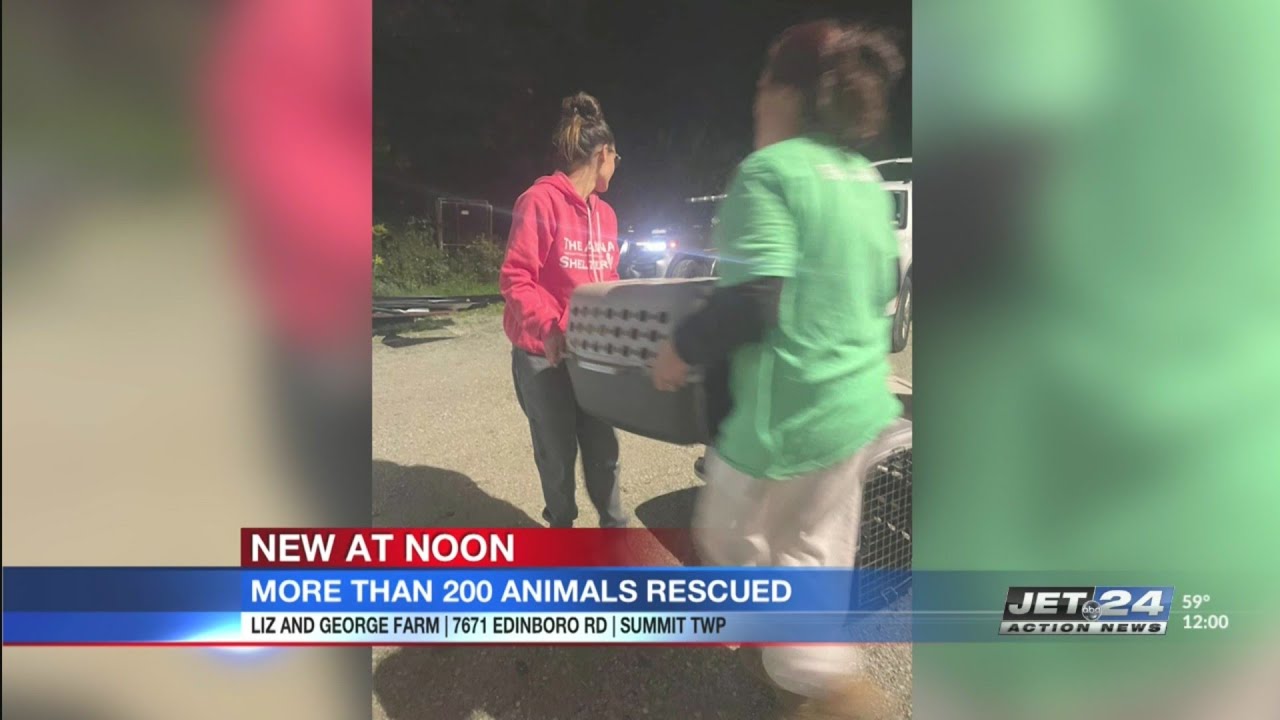 No charges filed yet after more than 200 animals seized from Summit ...