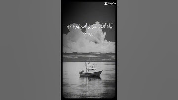 سورة القدر#اللهم بلغنا ليلة القدر