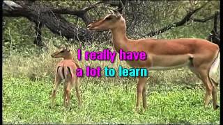 Download lagu Ernit : I'm Coming Home - Beeb Birtles & Graham Goble