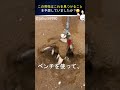 この男性は、ビーチで何か珍しいものを見つけました!