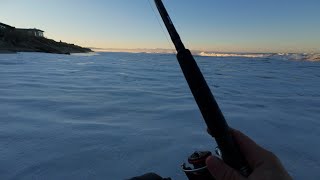 No Bites | Winter Surf Fishing #surffishing #surfperch #montereybay #california