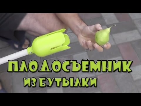 Как сделать плодосъемник