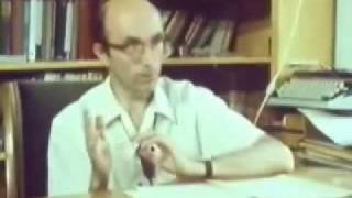 Niklas Luhmann - La Théorie Systémique Über Systemtheorie 1