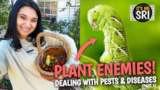 The Garden Pest Every Grower DETESTS!! | Garden Pests & Diseases (Part 1) Blight, Hornworms, & Ants