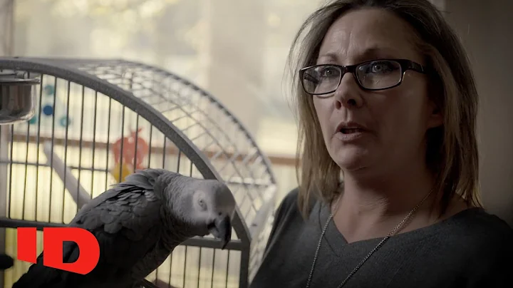 Pet Parrot Becomes Eyewitness In Murder Case