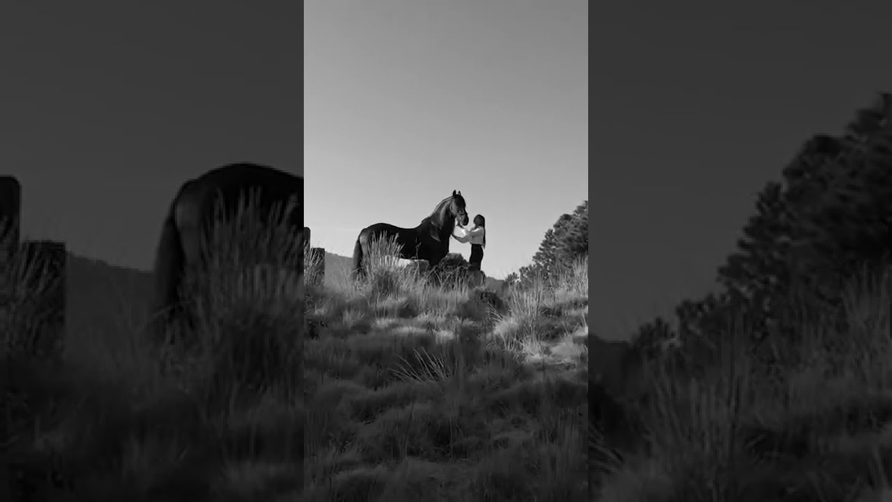 La evolución del Coaching