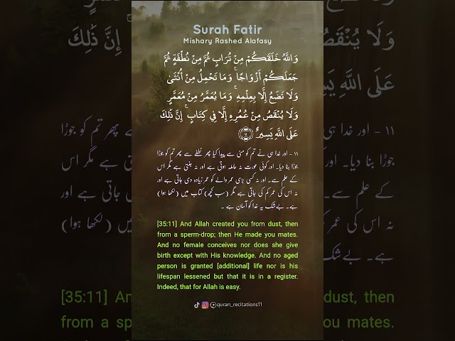 Surah Fatir - Mishary Rashed Alafasy | Verse 11  #quran #islam #muslim #surah #shorts #ytshorts class=
