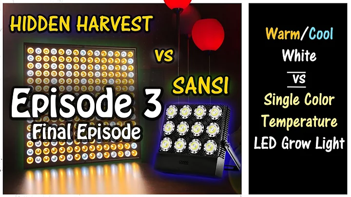 Hidden Harvest vs Sansi | Single vs Mixed Color Temperature Grow Lights | EP3