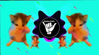 DJ KICAU KICAU KICAU MANIA SLOW VIRAL TIKTOK FULL SONG MAMAN FVNDY 2026 