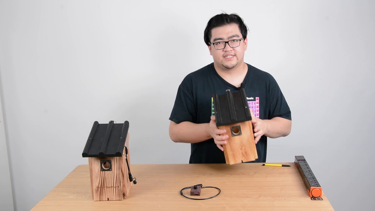 DIY Birdhouse with cam YouTube