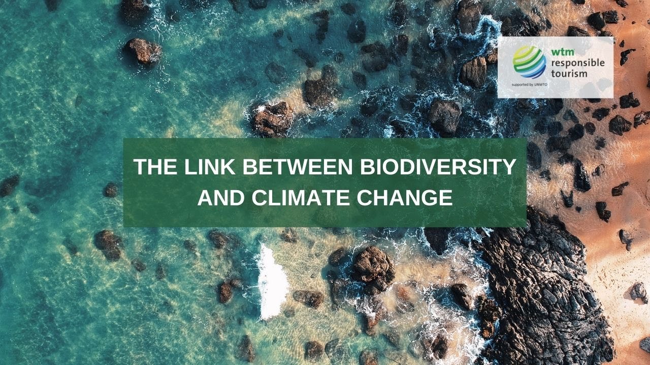 The link between biodiversity and climate change
