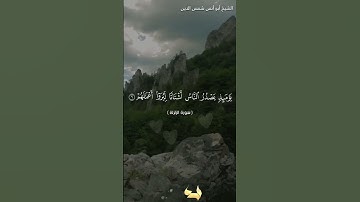 سورة الزلزلة بصوت الشيخ أبو أنس شمس الدين