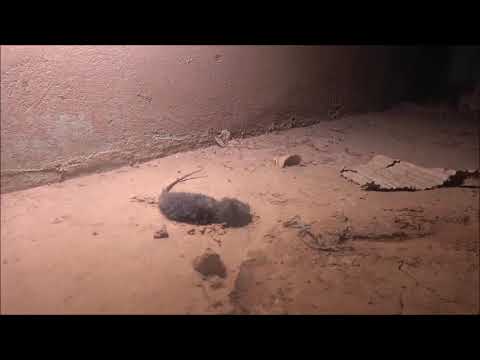 الواحدة بعد منتصف الليل ــ الحلقة الثانية