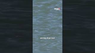 5-person rescue from Long Island Sound in Milford prompts safety discussion from officials