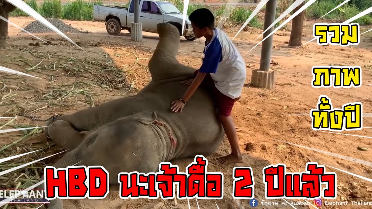 ดาวมันร้าย 2018 2020 มาดูความเเสบซ่า HBD