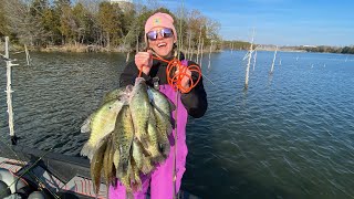 The RIVER SLABS Went CRAZY, So We LOADED The Boat!  (CATCH & COOK!)