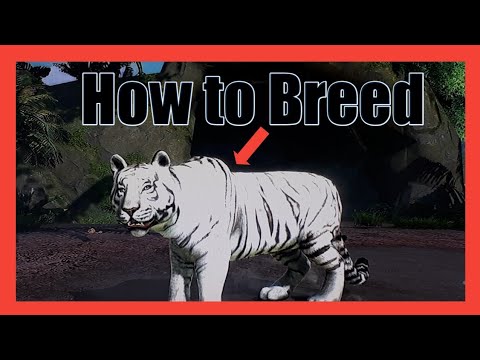 Come allevare animali |! Zoo Tycoon
