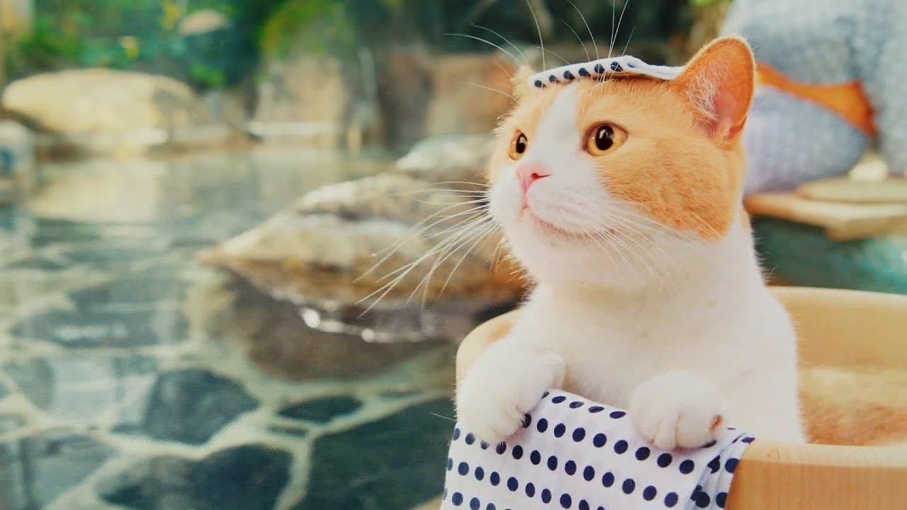 じゃらん cm