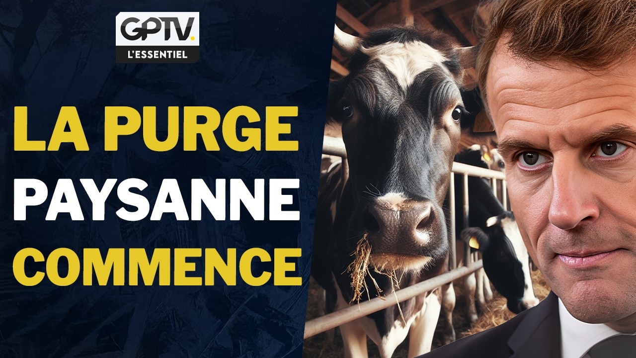 MACRON ASSASSINE NOS PAYSANS POUR BRUXELLES | GPTV L’ESSENTIEL