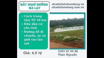 #25 BÁN ĐẤT ĐÀ LẠT: S: 1080m2,  Đất bằng, view đẹp, đường rộng dễ đi