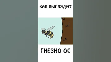 А вы знаете как выглядит гнездо Ос #shorts #шортс #животные #оса #авызналиэто