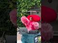 Björk DJ's at the 2026 Venice Biennale art exhibition. Video via @vokurooooo #bjork #venice  #DJ