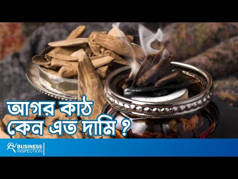 ভিডিও: ঝাড়বাতি এত দামি কেন?