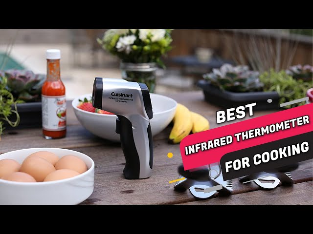 The 4 Best Infrared Thermometers, According to Chefs