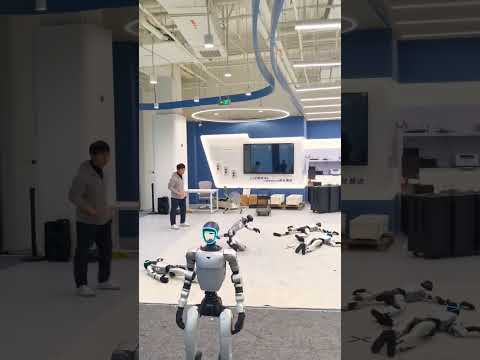 You Can’t Keep This Robot Down! 🤖