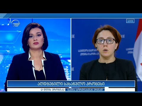 აღდგენილი სასწავლო პროცესი - ეკატერინე დგებუაძე \"დღის ქრონიკაში\"