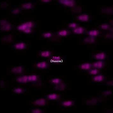 No Idea (Lyrics) 🎶 