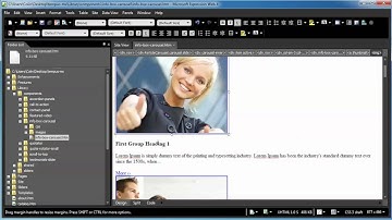 Microsoft Expression Web info box carousel heading content button image