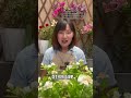Master the Art of Pruning Jasmine - Post Topdressing