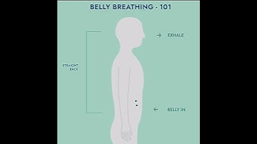 Belly abdominal breathing exercise #relaxing #breathingforanxiety #bellybreathing
