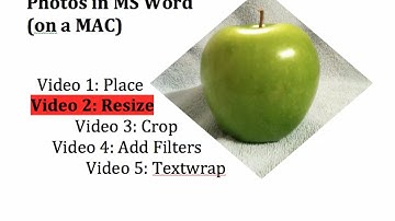 MS Word - 2 - Resize a Photo Image