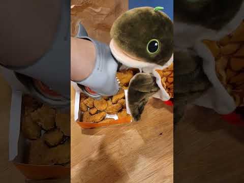 Shark Puppet Eats McDonalds Chicken Nugget Funny Funnyvideos Funnyvideo Sharkpuppet Shark 