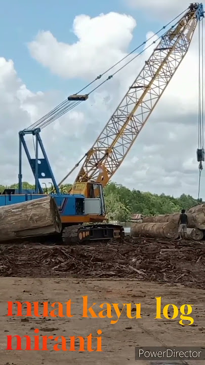 kapal tongkang muat kayu log,# Vidio short