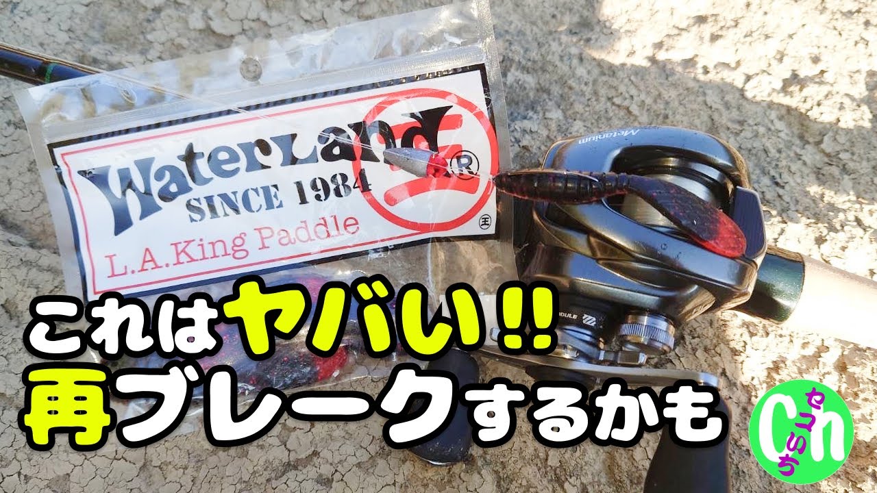 I tried using the L.A. King Paddle! [Waterland] [Bass Fishing