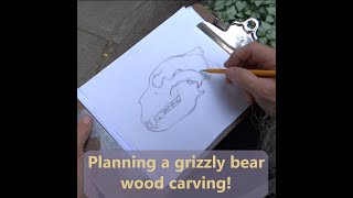 Planning A Grizzly Bear Skull Carving