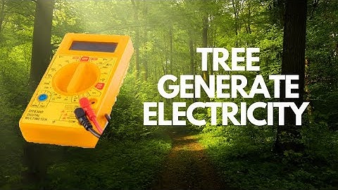tree generate electricity in DC voltage