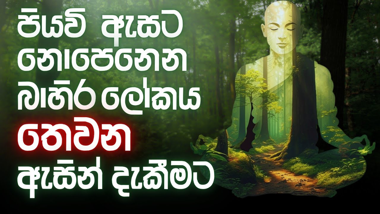 ලෝකය දකින්න, තෙවැනි ඇස දිහාවට හැරී බලන්න  #නිවන්_මග_සිහියෙන්