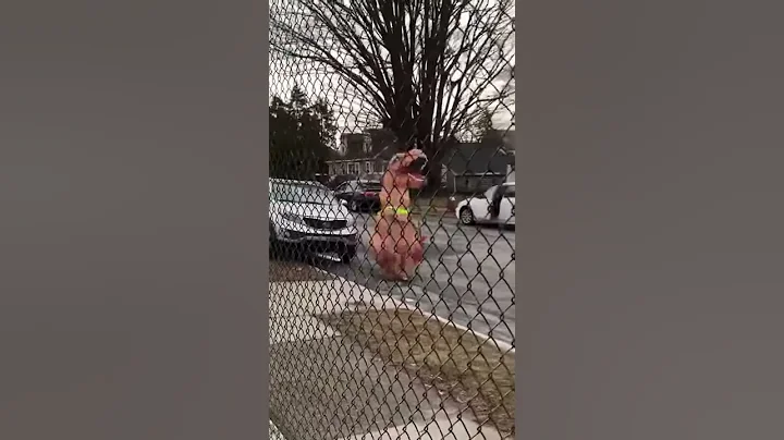 Dino crossing guard at Charles Pacheco school in N...