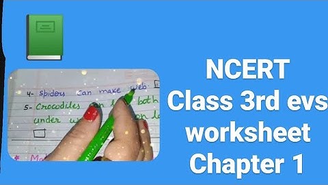 NDMC class 3 EVS worksheet/EVS worksheet for class 3/@englishworksheet
