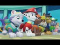PAW Patrol On a Roll - All Mighty Pups to the Rescue - Mighty Pup Zuma Save The Bay
