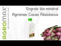 Agromax cacao rsistance